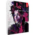 Adobe Indesign CS6 for W ...