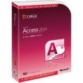 Access 2010 Academic Jap ...